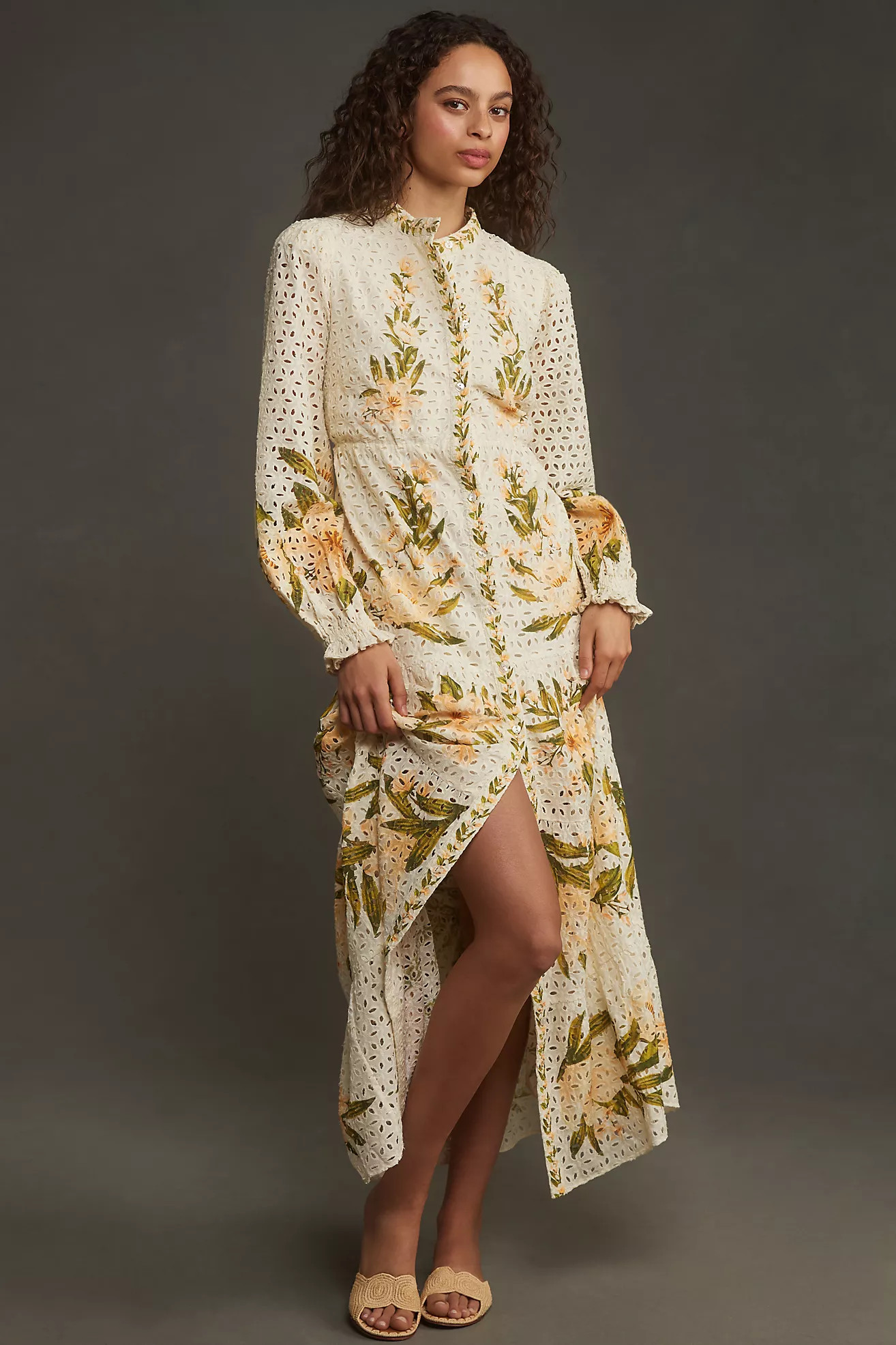 Farm Rio Long-Sleeve Floral Eyelet Maxi Dress | Anthropologie (US)