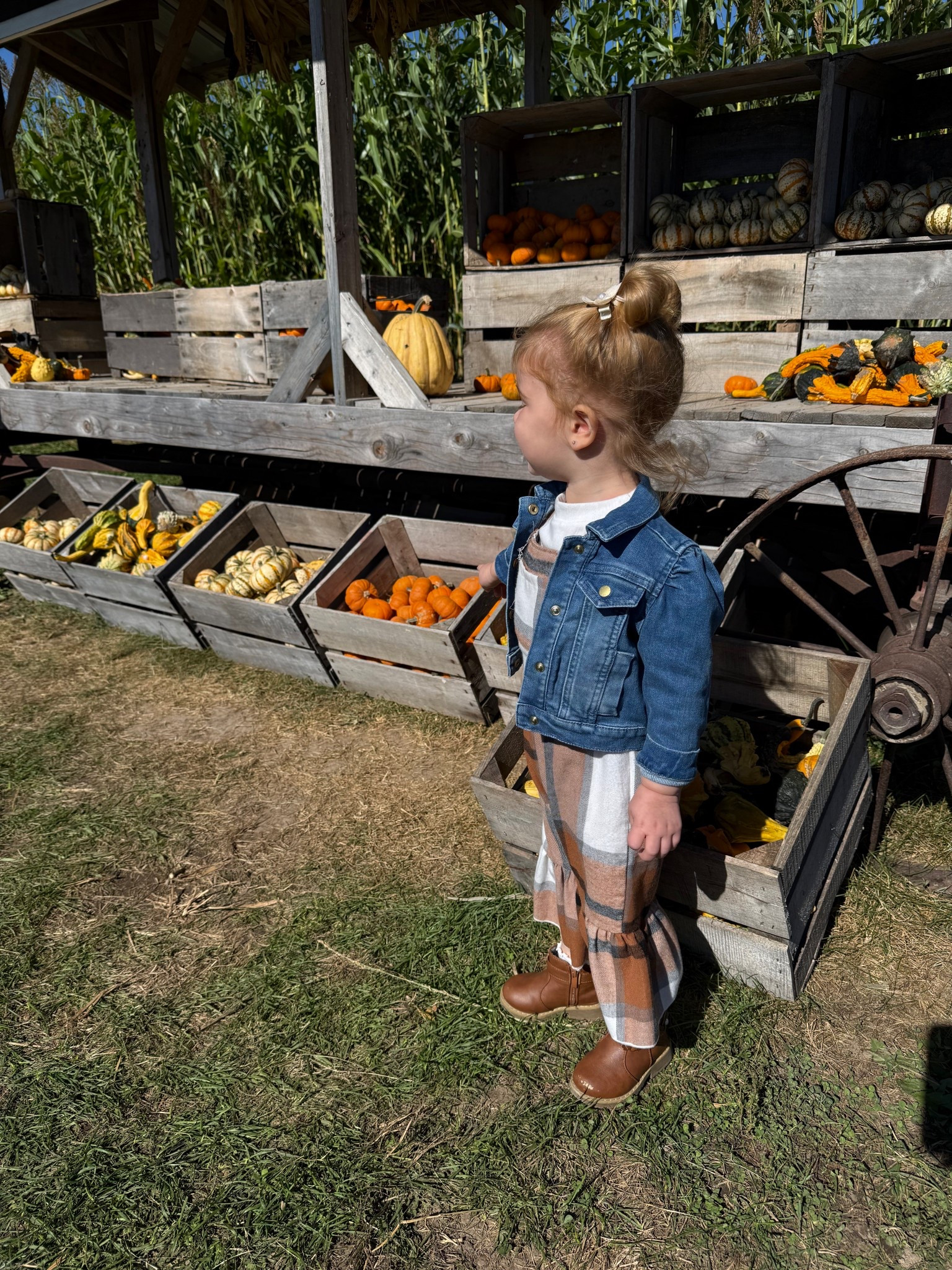 Cutest little pumpkin in plaid 🤎 Perfect fall outfit for toddlers — comfy, stylish, and pumpkin-patch approved 🎃

#LTKKids #LTKItBag
