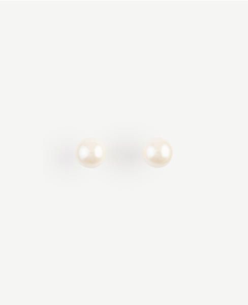 Pearlized Stud Earrings | Ann Taylor (US)