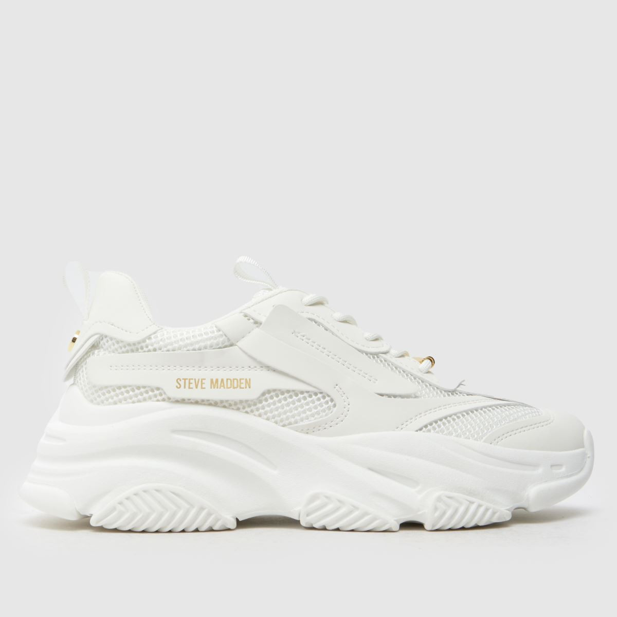 Womens White Steve Madden Possession Trainers | schuh | Schuh