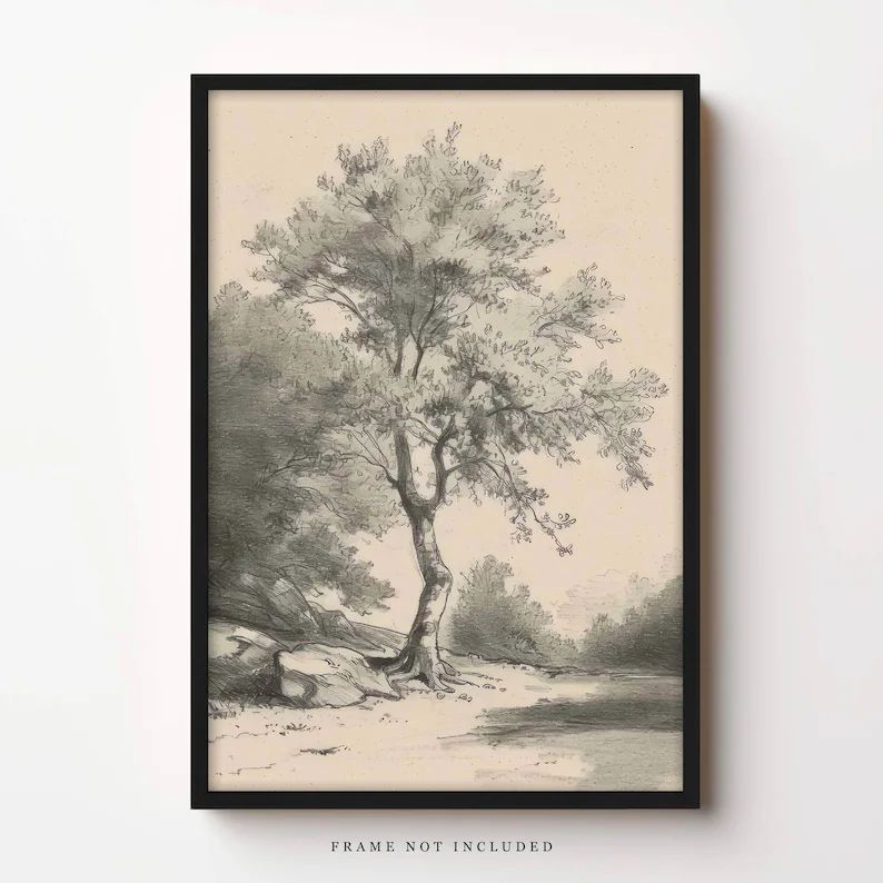 Plank & Pillow Tree Sketch Tree Drawing Nature Art Large Print Vintage Art - Etsy | Etsy (US)