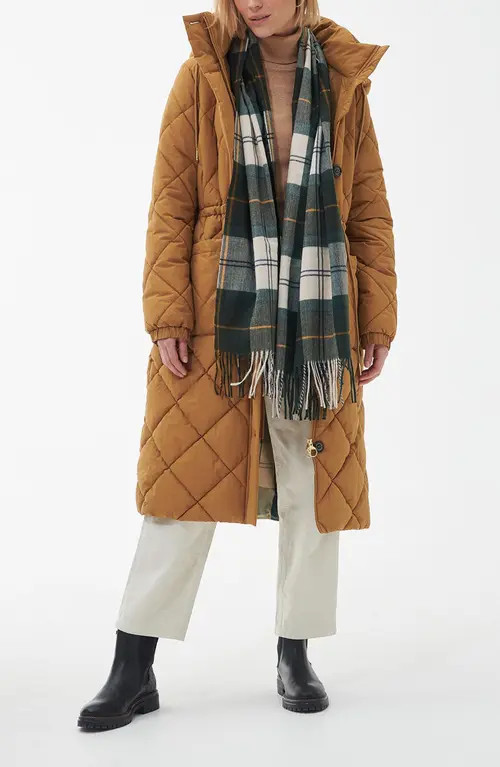 Barbour Hailes Tartan Fringe Scarf in Ancient Tartan at Nordstrom | Nordstrom