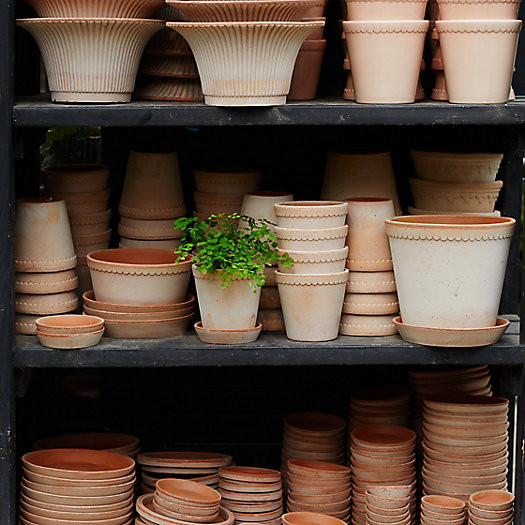 Bergs Scallop Pot + Saucer Set | Terrain
