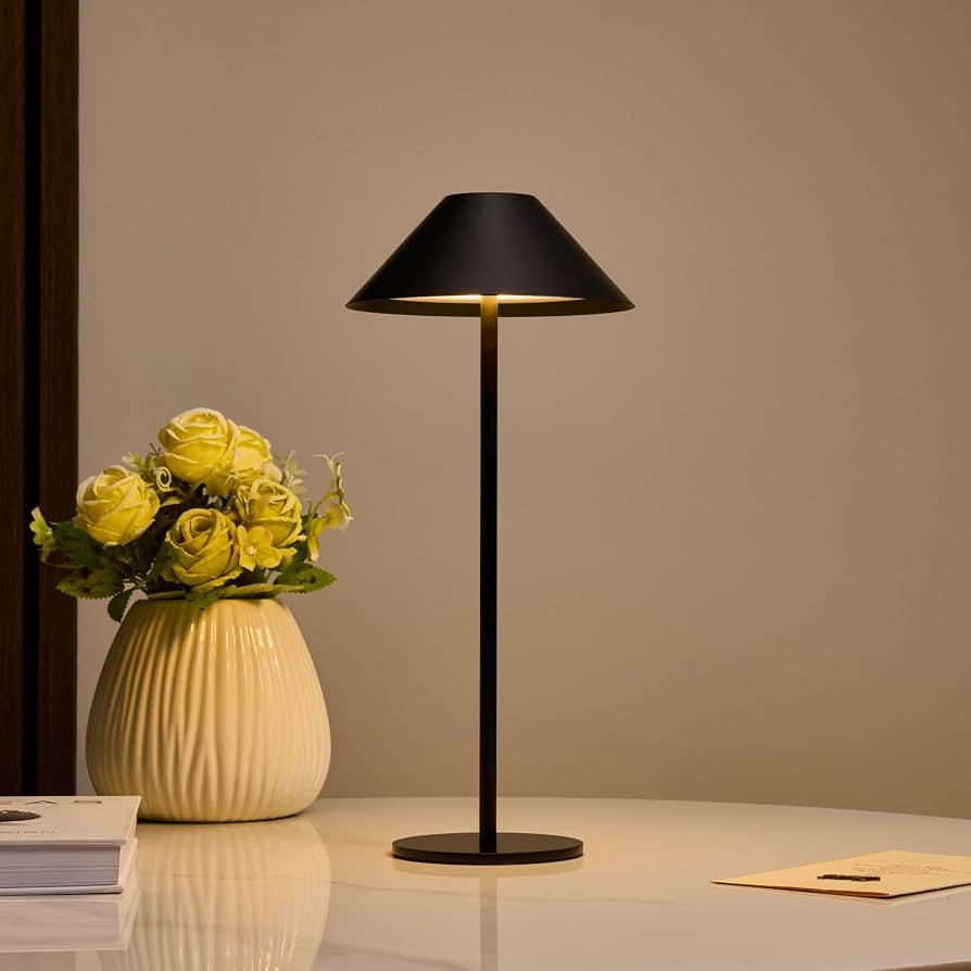 Bojim Cordless Table Lamp, Portable Battery Operated LED Lamp, 3 Color Stepless Dimming Touch Lam... | Amazon (CA)
