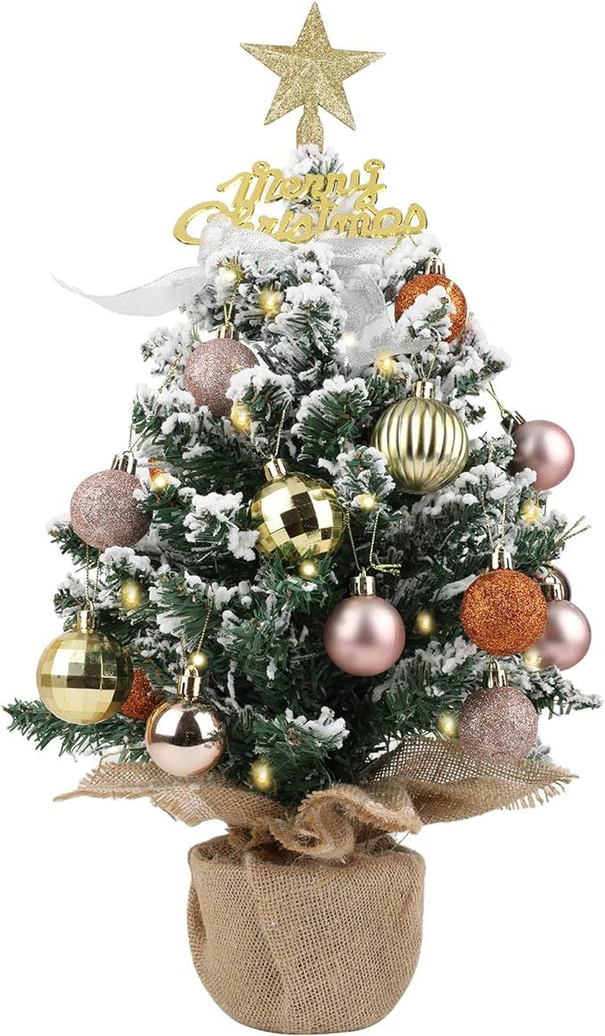 Small Christmas Tree，24 Inches White Flocked Christmas Tree，Pre-Lit Artificial Mini Christmas... | Amazon (US)