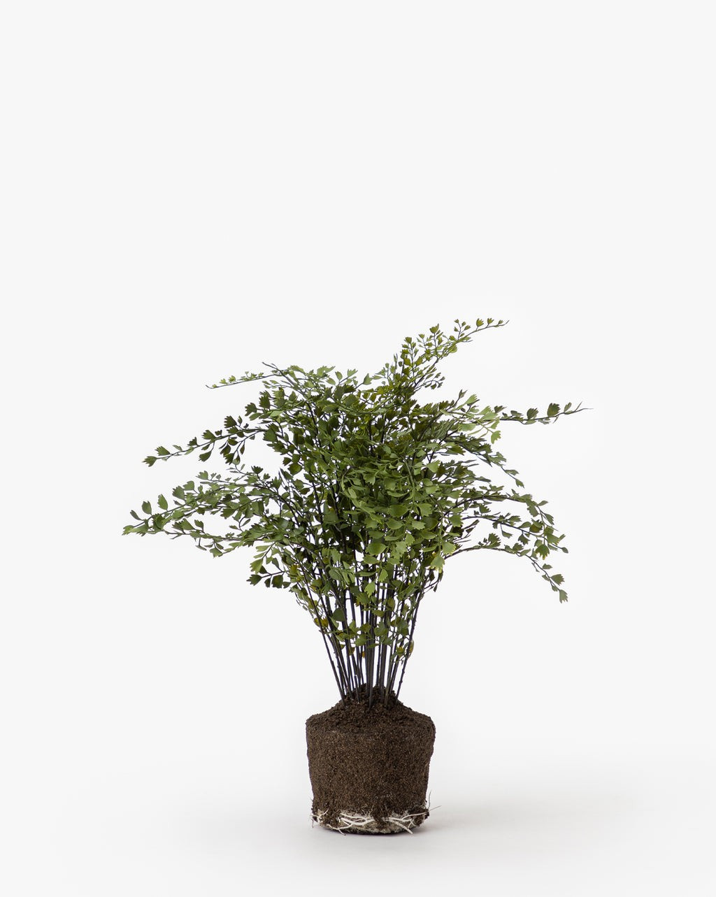 Faux Maiden Hair Drop-In | McGee & Co.