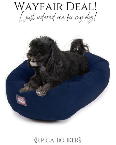 Wayfair dog bed in navy blue!

#LTKHome #LTKSaleAlert