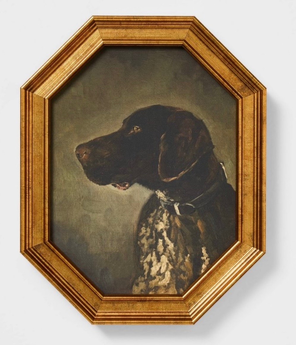 Cute for boys room or library / moody room so versatile and only $15 

Target circle week finds artwork hunting dog

#LTKSaleAlert #LTKHome #LTKKids