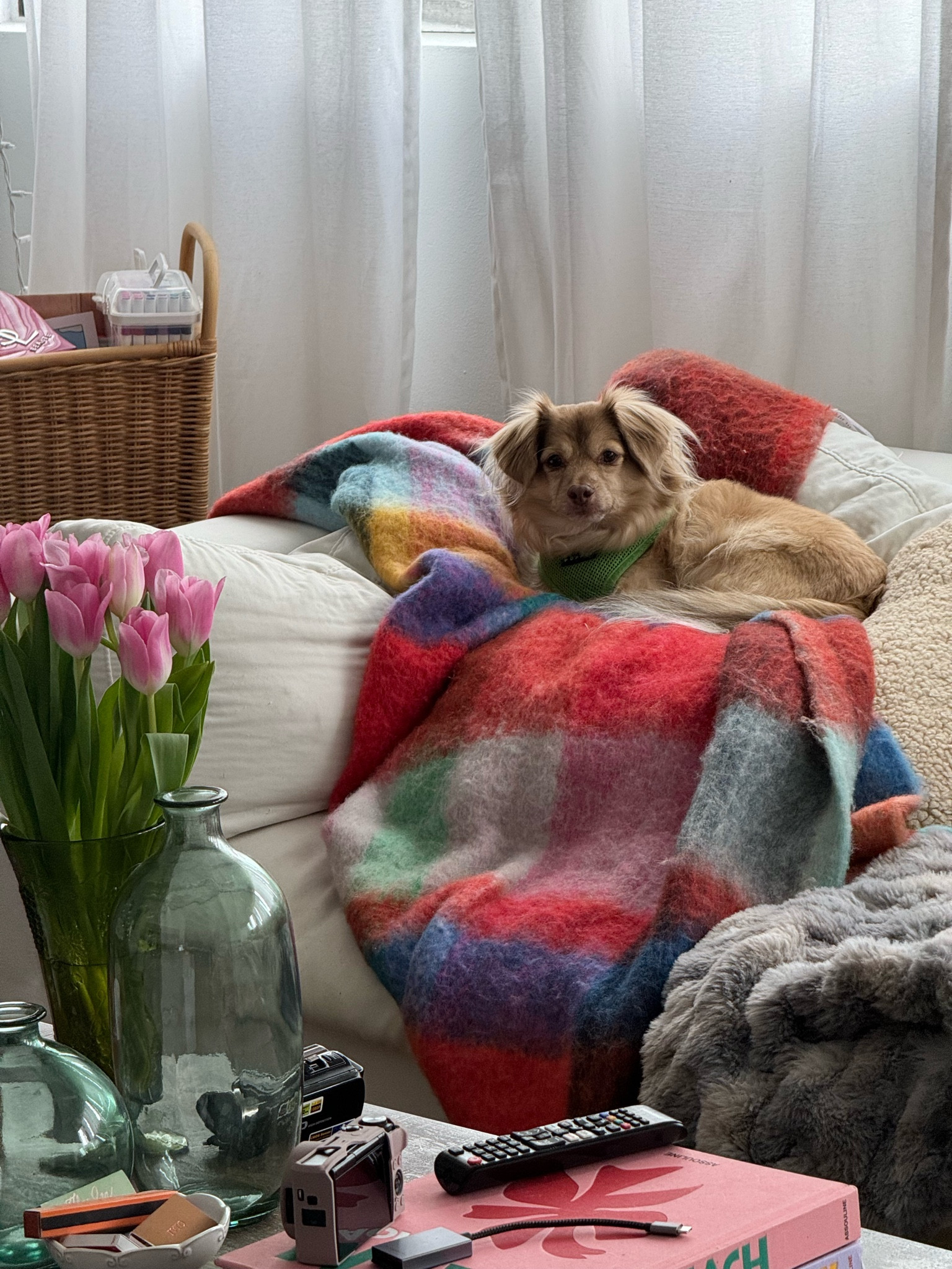 Blanket of my dreams! 

#LTKhome