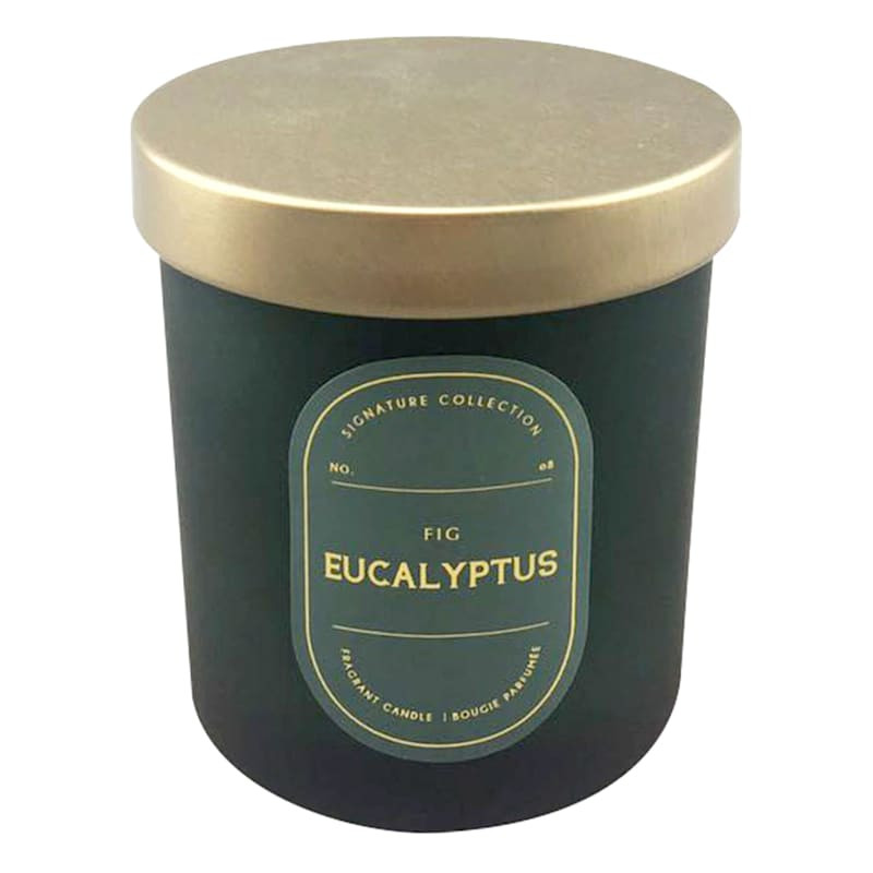 Fig Eucalyptus Scented Jar Candle, 5.5oz | At Home