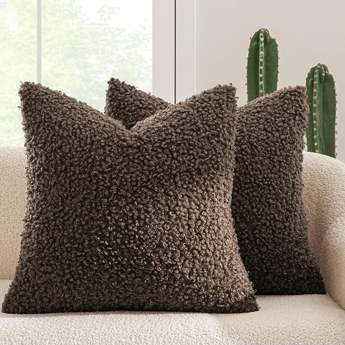 MIULEE Decorative Faux Fur Pillow Covers Sherpa 20x20 Chocolate | Amazon (US)