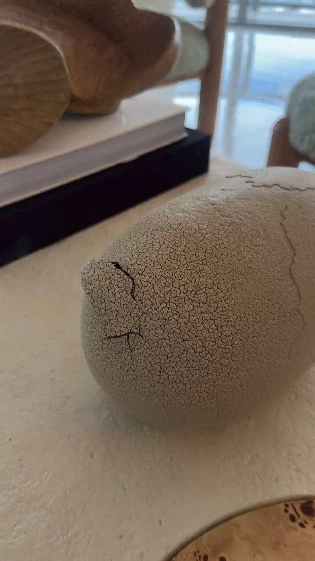 Coolest toy I’ve seen in a while! Dinosaur hatches from egg and then becomes an interactive toy. The hatching was epic 

#LTKBaby #LTKFamily #LTKKids