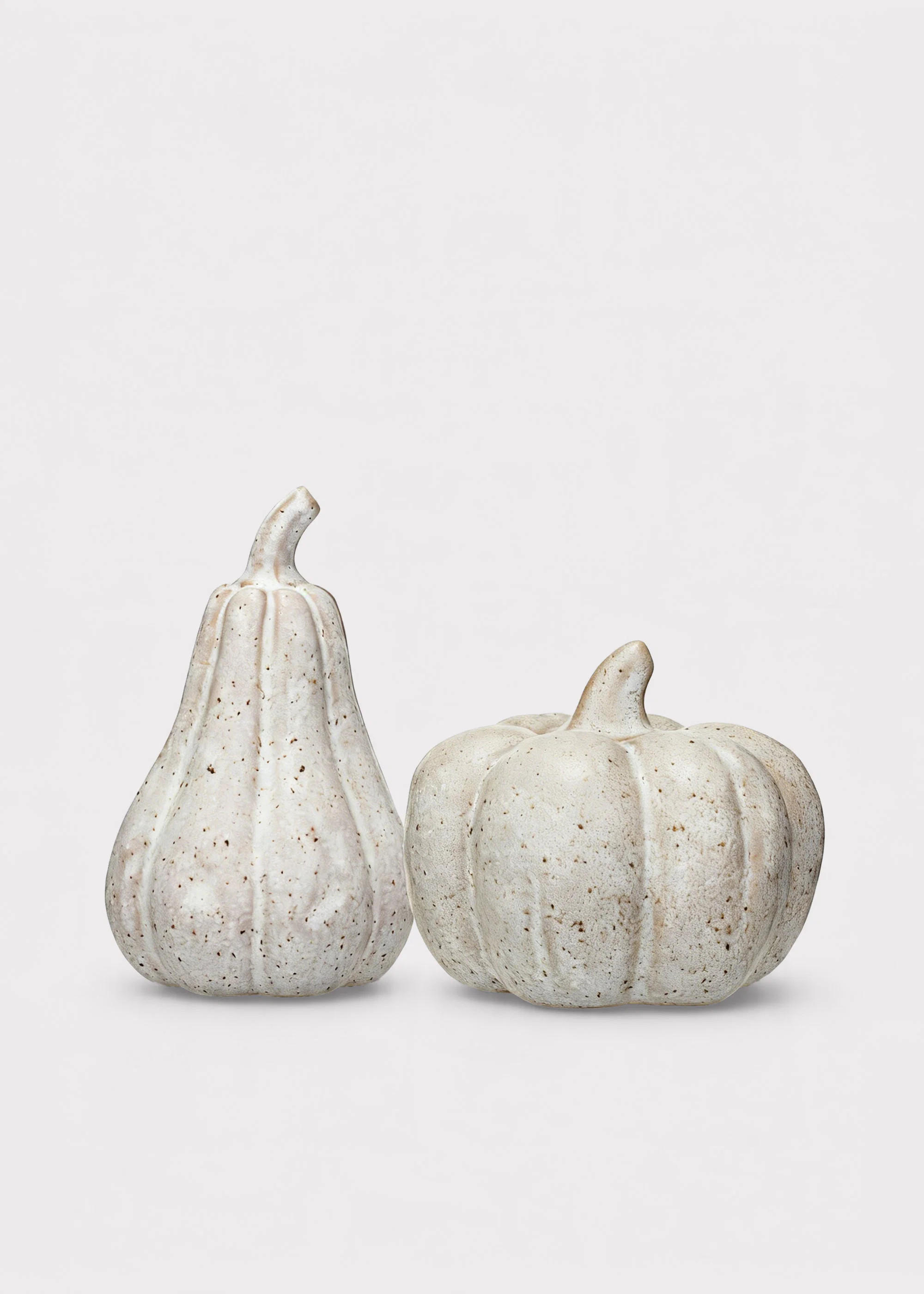 Set of 2 Speckled Stoneware Tabletop Pumpkins in Cream Glaze - 5 | Afloral