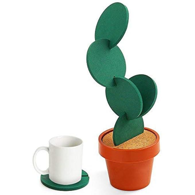 Coasters DIY Cactus Coaster Set of 6 Pieces with Flowerpot Holder for Drinks Novelty Gift for Home O | Amazon (US)