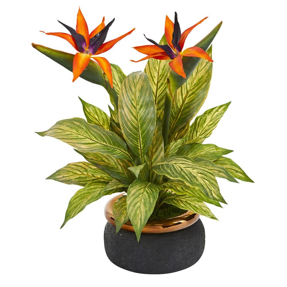 Nearly Natural 20in. Bird of Paradise and Musa Leaf Artificial Arrangement in Stoneware Bowl | The Home Depot