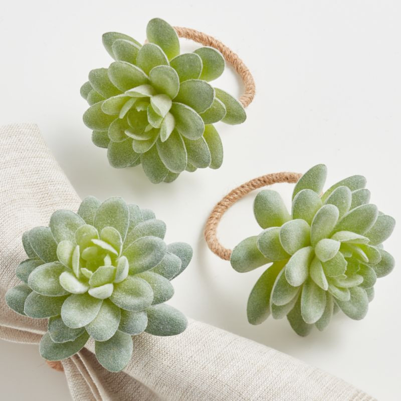 Oli Succulent Napkin Ring + Reviews | Crate and Barrel | Crate & Barrel