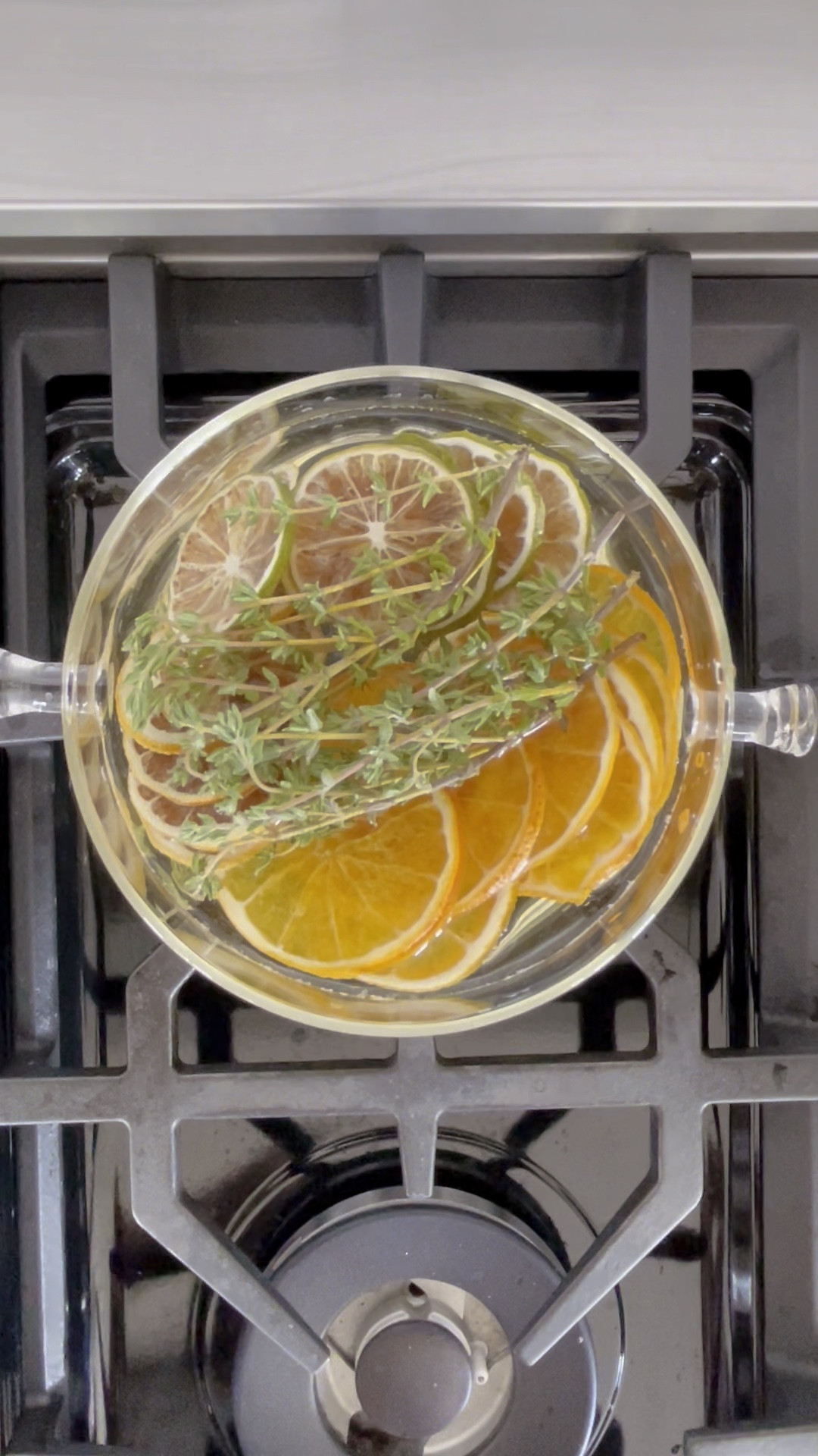 June Stovetop Potpourrii

#LTKU #LTKFindsUnder50 #LTKHome