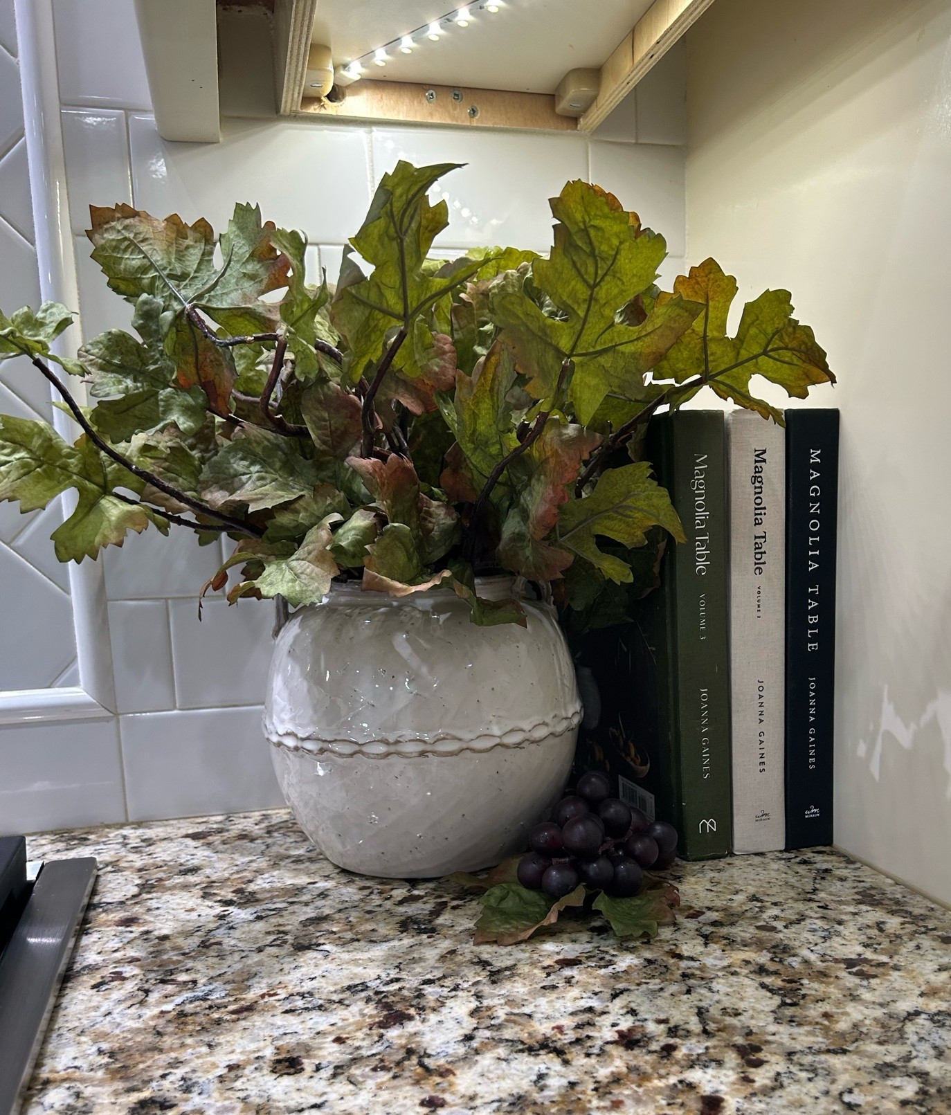 Fall Kitchen Decor

#LTKHome #LTKSeasonal #LTKvlog