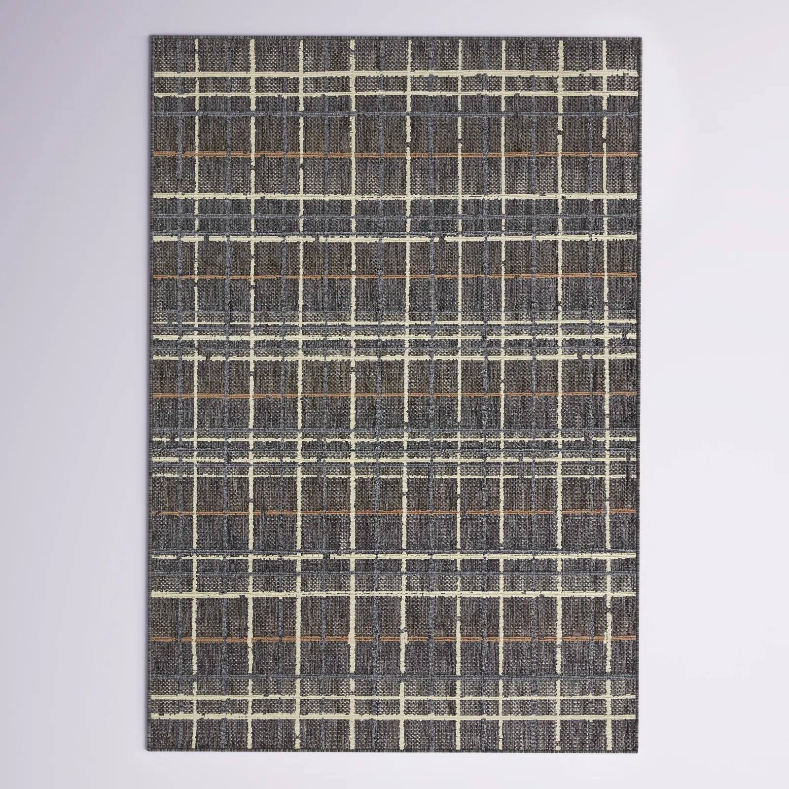 Pesina II Charcoal / Multi Indoor/Outdoor Area Rug | Wayfair North America