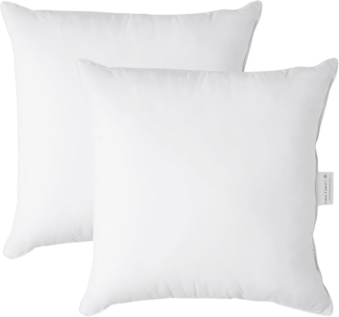 LANE LINEN 22x22 Pillow Insert - Pack of 2 White Decorative Pillow for Sofa Bed, Fluffy Inserts f... | Amazon (US)