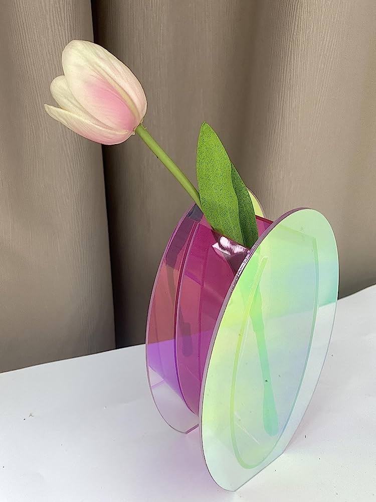 YalzoneMet Oval Acrylic Vase Modern Pink Acrylic Vase Special Colorful Refraction Vase Unique Hom... | Amazon (US)
