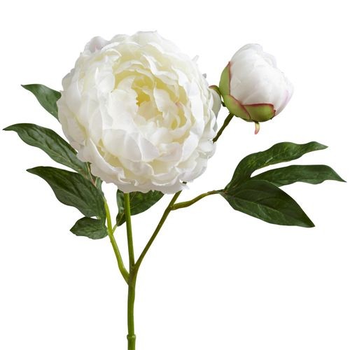 Faux White Peony Buds Spray | Pier 1 Imports