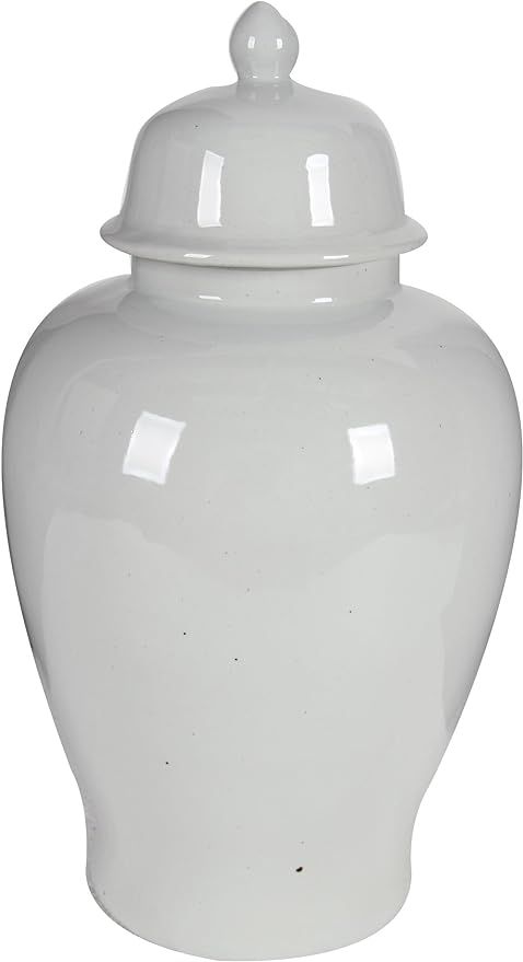 A&B Home Ginger Jar, 13.3 by 23-Inch | Amazon (US)