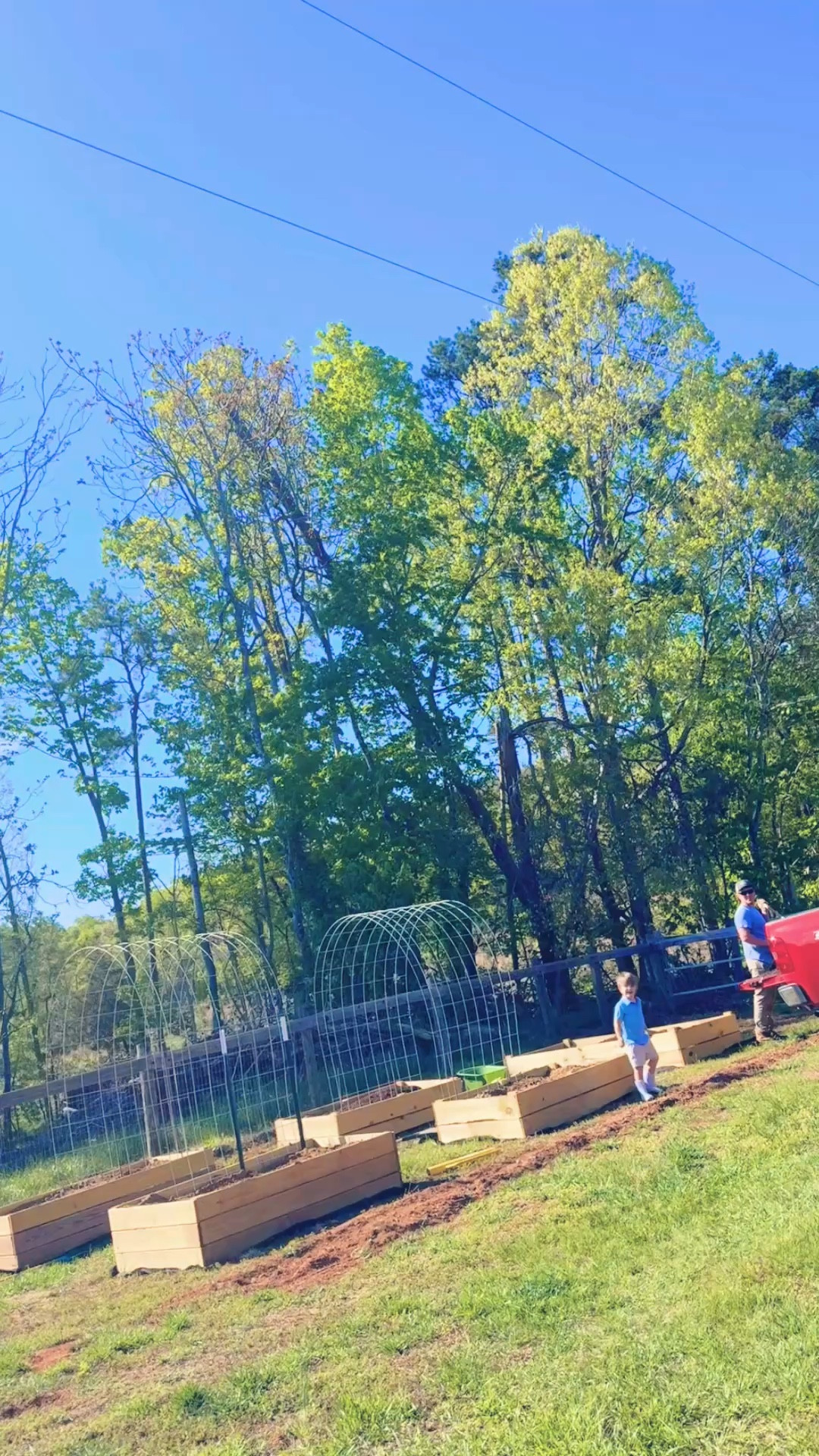 When your handsome hubby (& his little minis x 2 👶🏼🩵) is making your forever farm 🚜🧺  garden 🪴 dreams 💭 come to life!! 🪏🌼 He’s already put together the trellises 🥒🫘 and has gotten working on the deer 🦌 fencing!! 🪵 Eek it is making me so excited!!! 🤭 Cheers to alllll the gorgeous ☀️ nights on the farm like this!! 🤗

#LTKmomlife #LTKHome