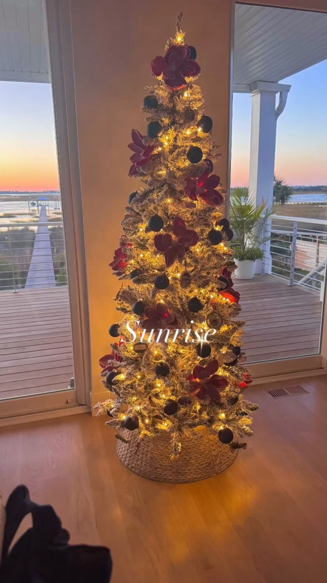 Christmas on the Coast!

This slim flocked tree is a bargain - satin blue glass ornaments and icy red magnolias 

#LTKSaleAlert #LTKHoliday #LTKSeasonal