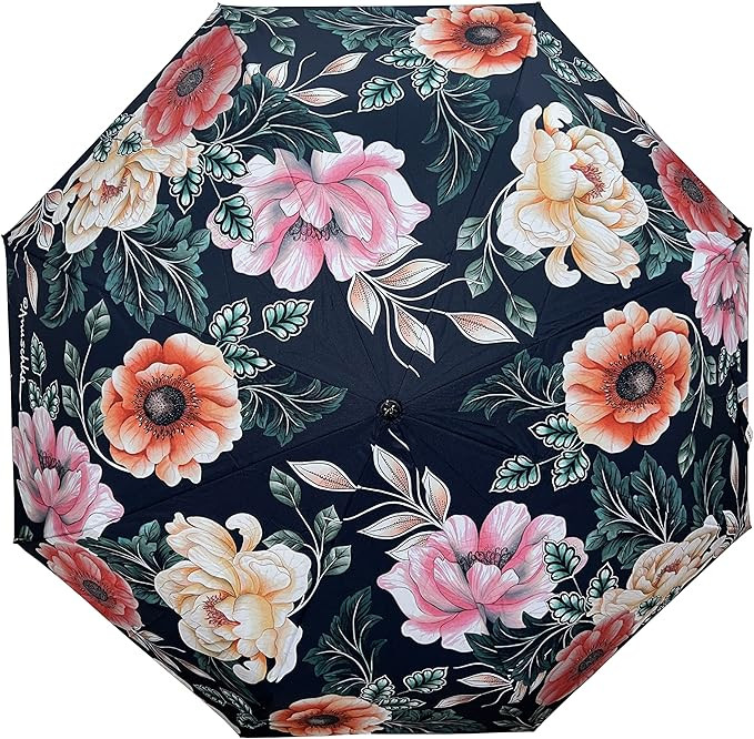 Anuschka Original Printed Artwork Umbrella Auto Open/Close with UPF 50+ Sun Protection - Evening ... | Amazon (CA)