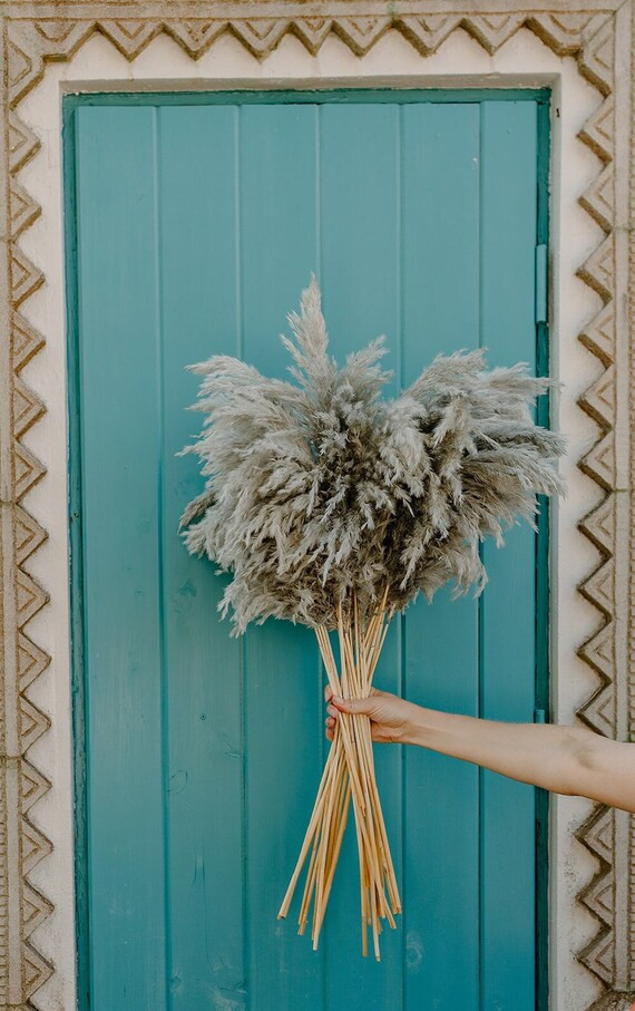 3 FT Slate Droopy Pampas Grass - Etsy | Etsy (US)
