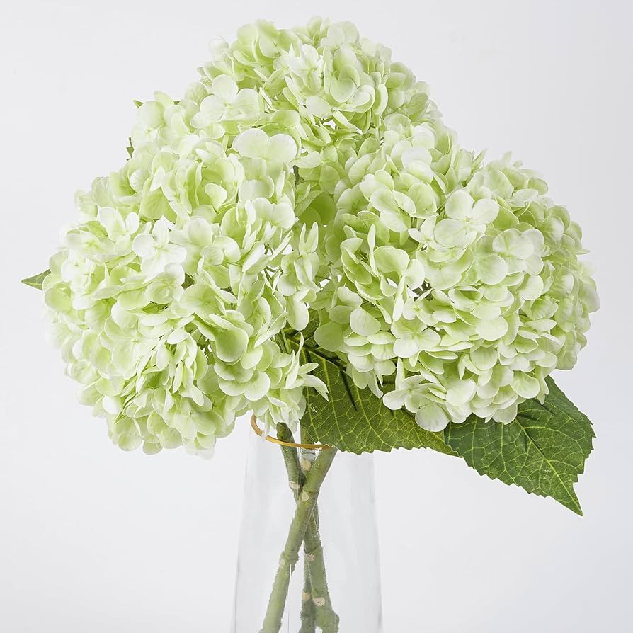 BonBloom's 3 Pcs Light Green Hydrangea Artificial Flowers 21" Latex Large Heads Faux Hydrangeas F... | Amazon (US)
