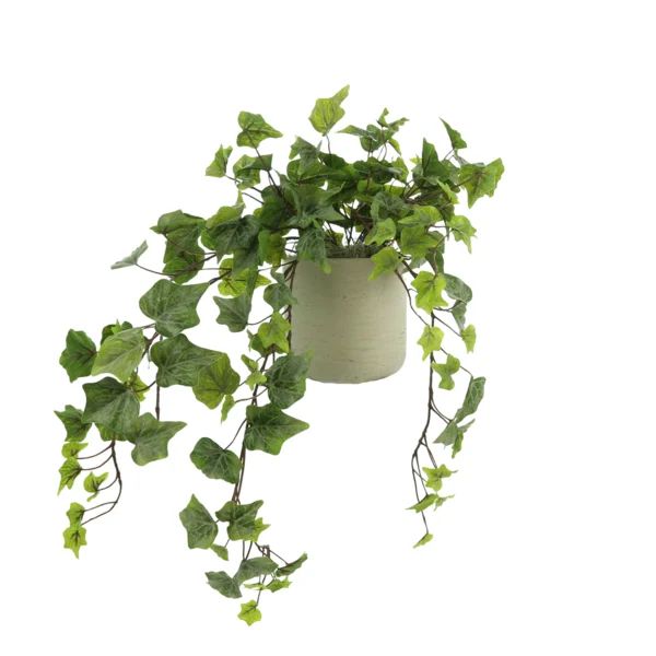 Faux Ivy Plant in Fiberstone Pot | Wayfair North America