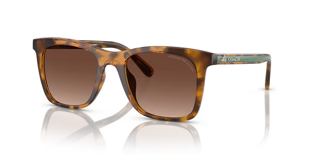 Coach | Sunglass Hut (US)
