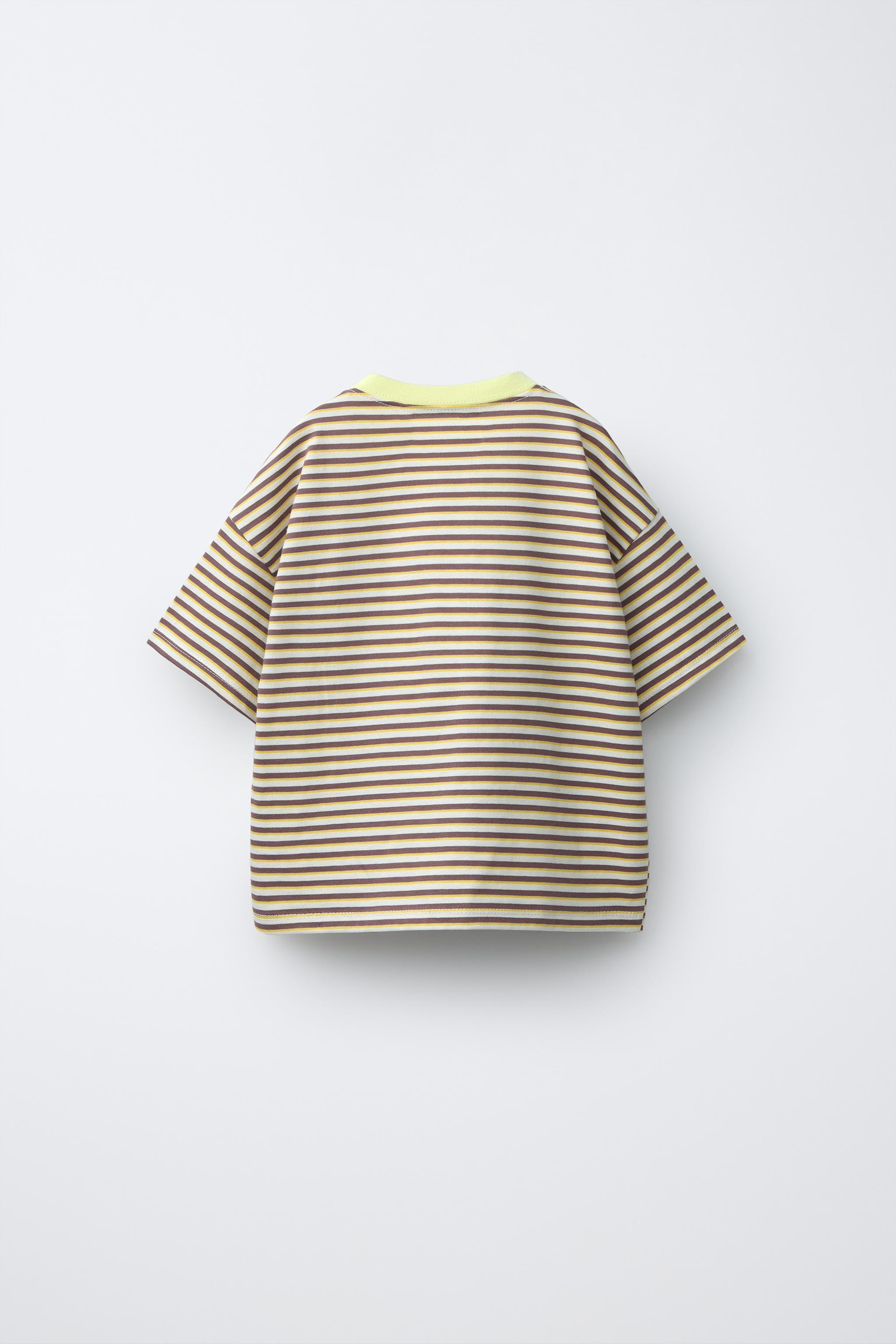ZARA TIMELESS - STRIPED T-SHIRT WITH CONTRAST NECKLINE | Zara UK