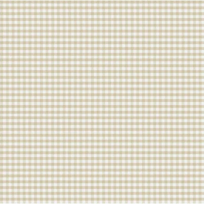 Little Explorers 2 Two Tone Gingham Wallpaper Roll | Wayfair North America