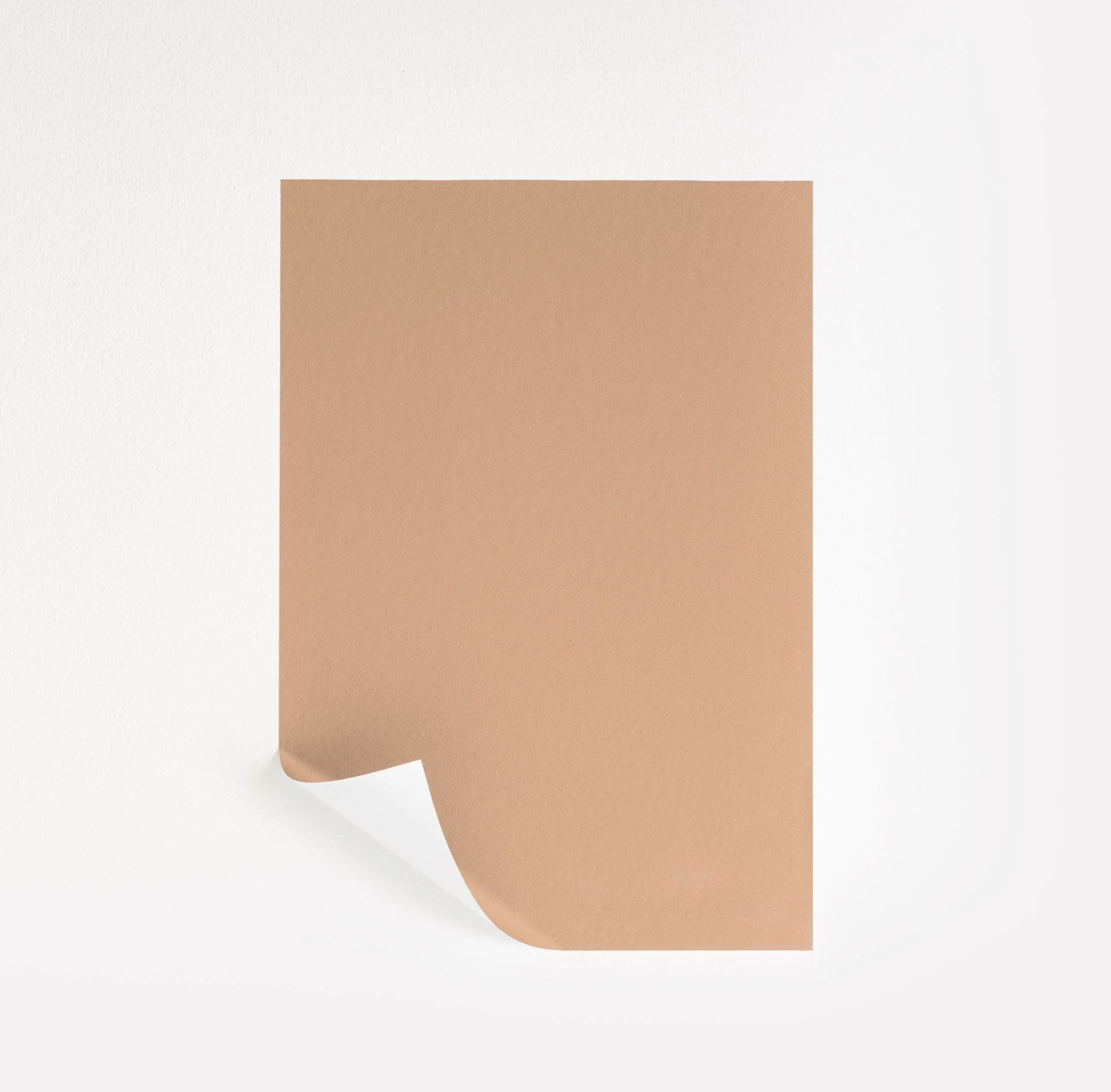 Soft Apricot Paint Sample by Sherwin-Williams (6352) | Peel & Stick Paint Sample | Samplize