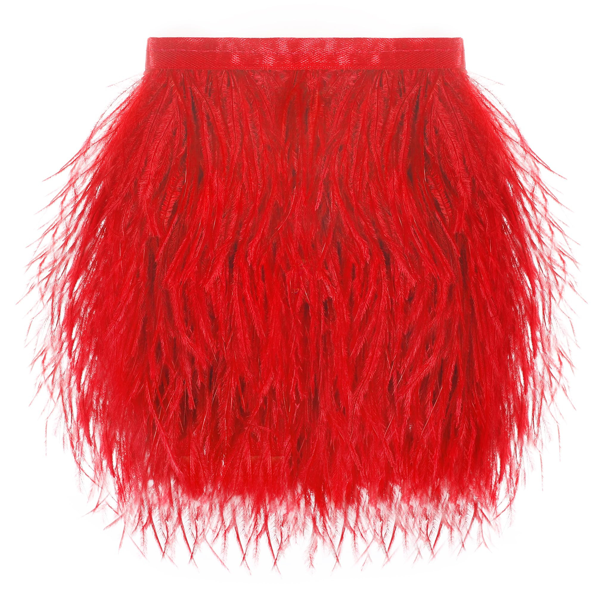 Red Ostrich Feather Trim - 1.5Ply 2Yards 4 Inch Feathers Fringe Ribbons Trim for Sewing, Dress, C... | Amazon (US)