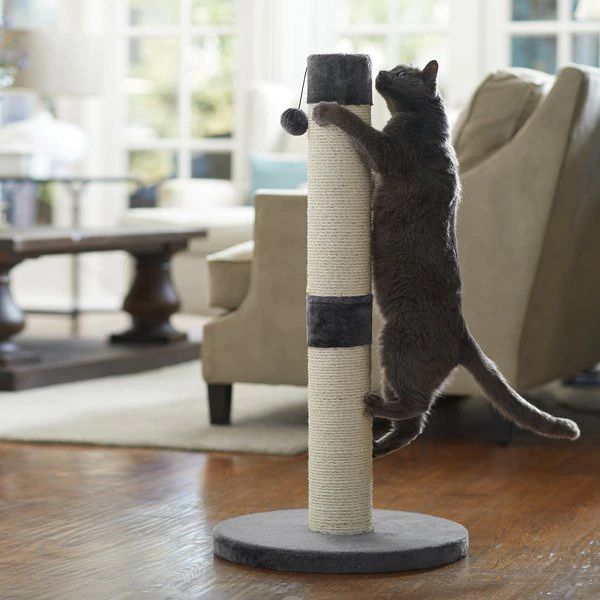 FRISCO 35-in Heavy Duty Sisal Cat Scratching Post with Toy, Dark Charcoal - Chewy.com | Chewy.com