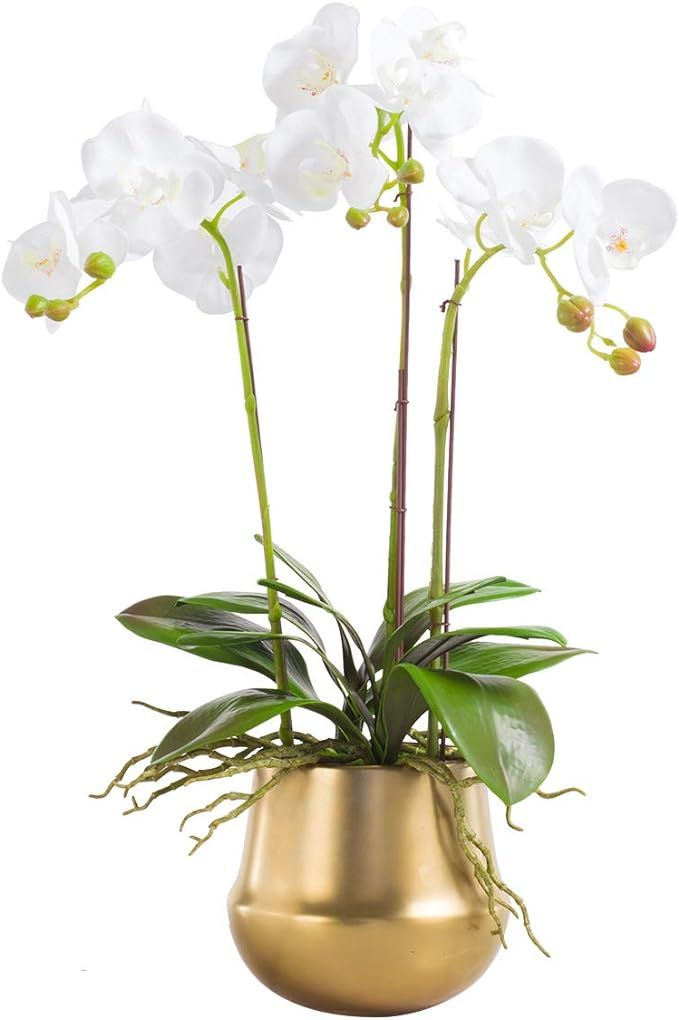 Fudostar Artificial Silk Moth Orchid Flowers Potting in Matte Gold Ceramic Vase, 22'' High, Real ... | Amazon (US)