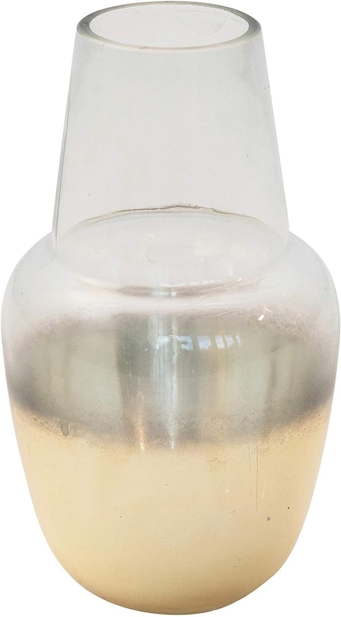 Creative Co-Op Two-Tone Glass Metallic Gold Finish Vase, Clear & Gold | Amazon (US)