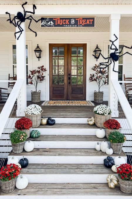 Halloween and fall front porch and front door decor trick or treat wood sign large spiders magnolia trees faux artificial silk decor pumpkins baskets mums outdoor lighting lantern light fixtures spooky season october faves and finds amazon target Etsy Front porch and door decor fall autumn harvest seasonal entry French double doors oversized layered scatter rug and doormat pumpkin magnolia trees faux artificial silk florals mums baskets wreaths outdoor lanterns wall sconces rocking chairs light fixtures southern modern farmhouse style home decor nearly natural amazon finds Etsy wayfair 

#LTKHalloween #LTKhome #LTKSeasonal