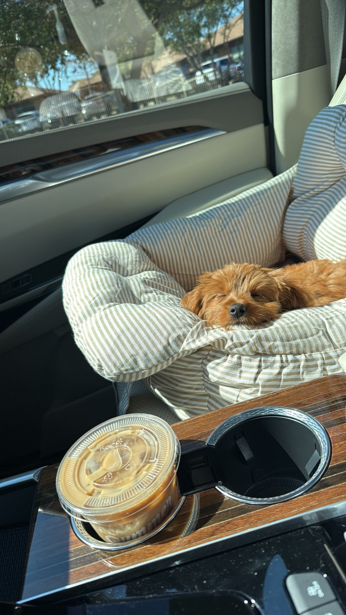 Linking Remy's things including his car seat & pop up playpen 