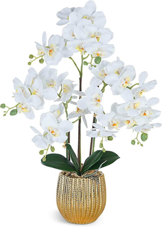 Ziwon Artificial Orchid Flowers & Plants Potted in Ceramic Pot, White Faux Phalaenopsis Orchids f... | Amazon (US)