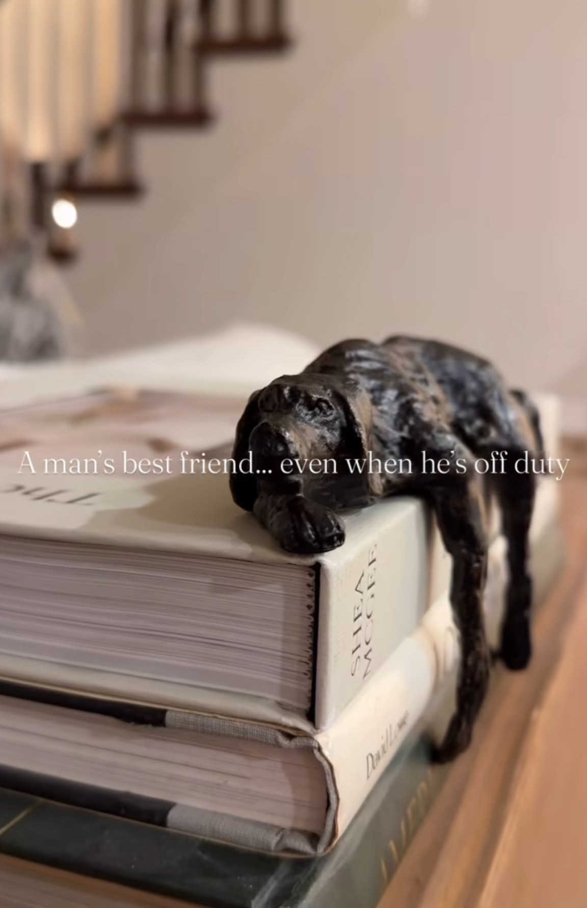 *girls best friend 

#LTKHoliday #LTKGiftGuide #LTKSeasonal