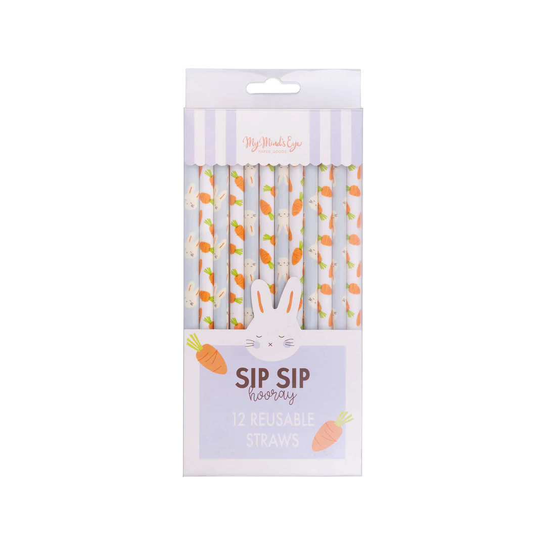 Bunny/Carrot Reusable Straws | My Mind's Eye