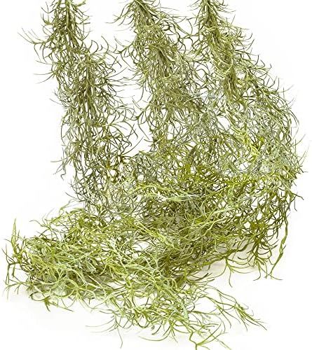 Amazon.com: SEEKO Faux Greenery Moss for Potted Plants - Realistic Spanish Moss - Hanging Plants Art | Amazon (US)