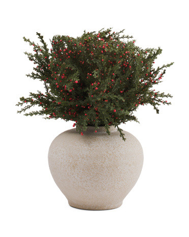 Oversized Pine Berry Spray Arrangement In Vase | TJ Maxx