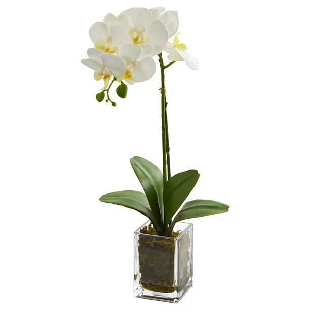 Nearly Natural 24in. Orchid Phalaenopsis Artificial Arrangement in Vase, Cream | Walmart (US)