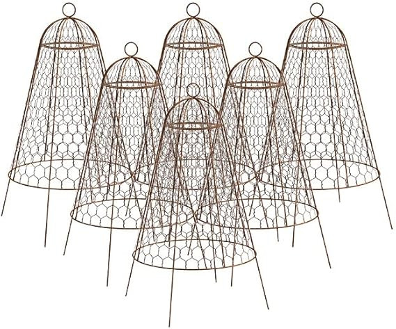 Panacea Rustic Wire Garden Cloches, Set of 6 – 20" H x 12" Dia Plant Protectors – Metal Chick... | Amazon (US)